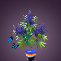 NFTokin #11513
