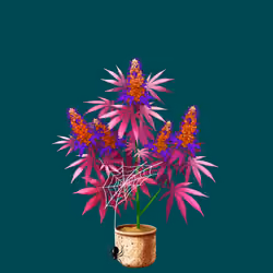 NFTokin #3308