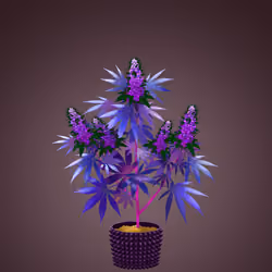 NFTokin #11918