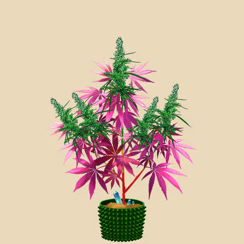 NFTokin #8554