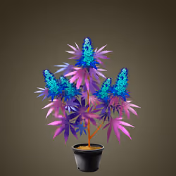 NFTokin #12424