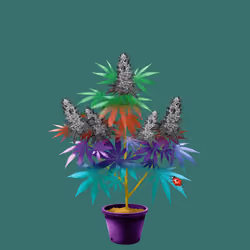NFTokin #10812