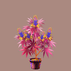 NFTokin #8216