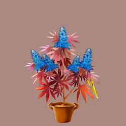 NFTokin #3750