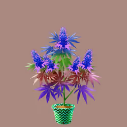 NFTokin #1706