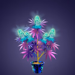 NFTokin #8559