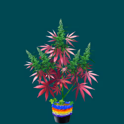 NFTokin #8107