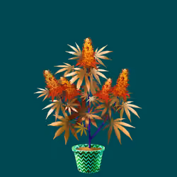 NFTokin #9184