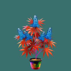 NFTokin #12746