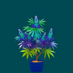 NFTokin #2032