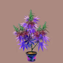 NFTokin #9439