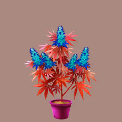 NFTokin #11395
