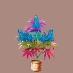 NFTokin #8996
