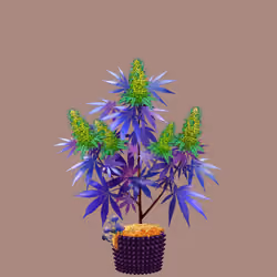 NFTokin #2696