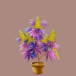 NFTokin #11825