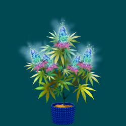 NFTokin #5845