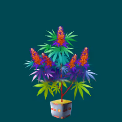NFTokin #8529