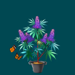 NFTokin #9057