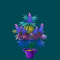 NFTokin #10187
