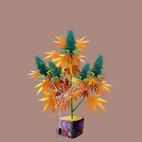 NFTokin #8158