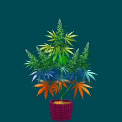 NFTokin #2377