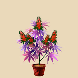 NFTokin #4357
