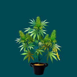 NFTokin #4735
