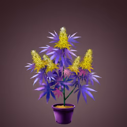 NFTokin #10523