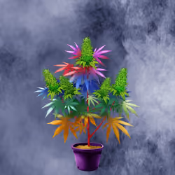 NFTokin #1224
