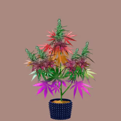 NFTokin #12868