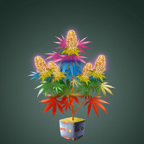 NFTokin #9358