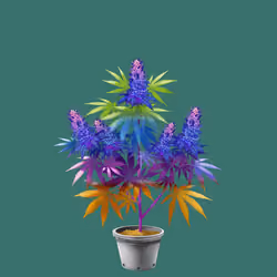NFTokin #4439
