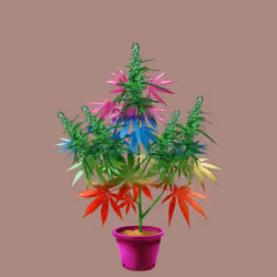 NFTokin #5465