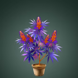 NFTokin #12353