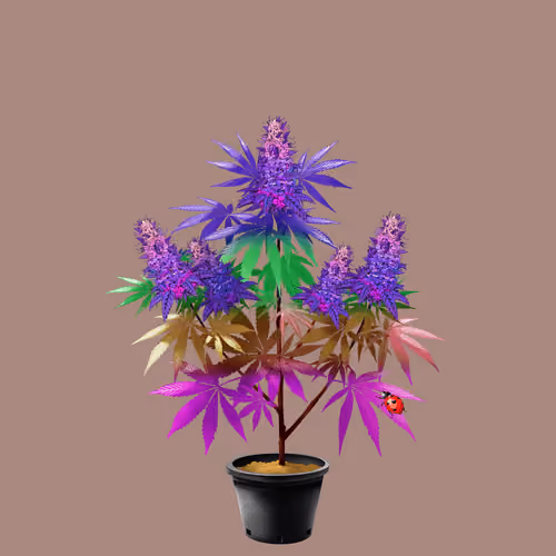 NFTokin #7662