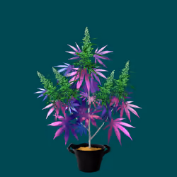 NFTokin #8520