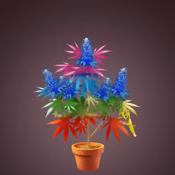 NFTokin #7003