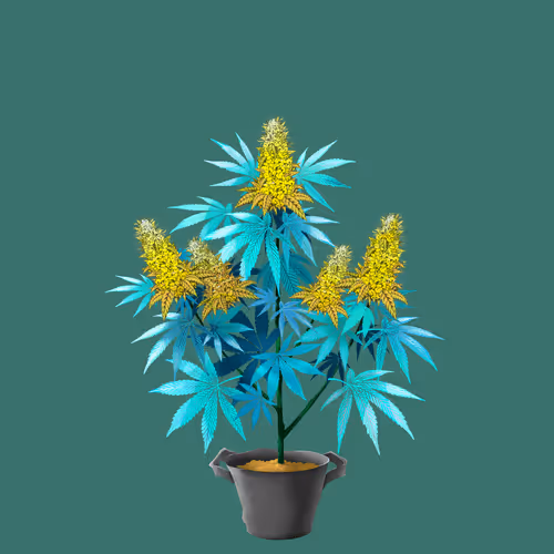 NFTokin #12179