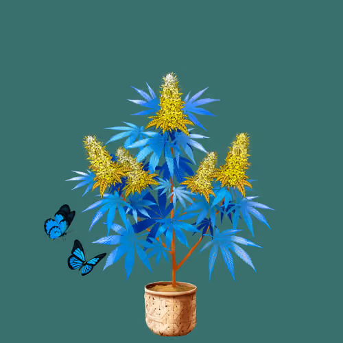 NFTokin #12050