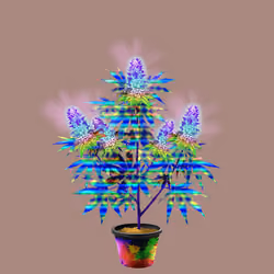 NFTokin #11476