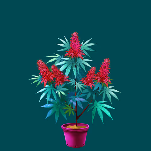 NFTokin #11319