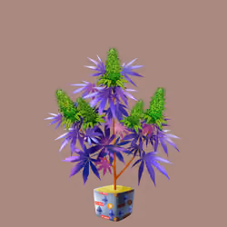 NFTokin #8472
