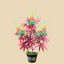 NFTokin #8665