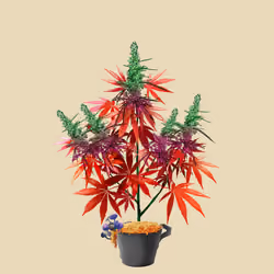 NFTokin #8988
