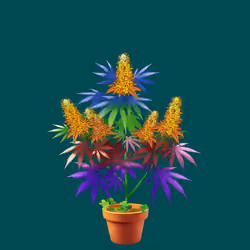 NFTokin #4075