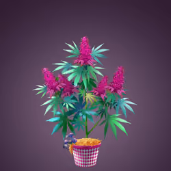 NFTokin #8915