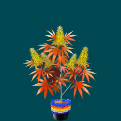 NFTokin #4954