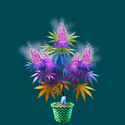 NFTokin #11483