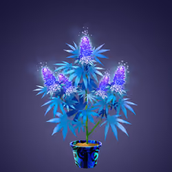 NFTokin #197