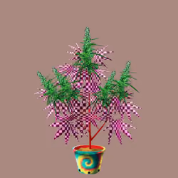 NFTokin #1648